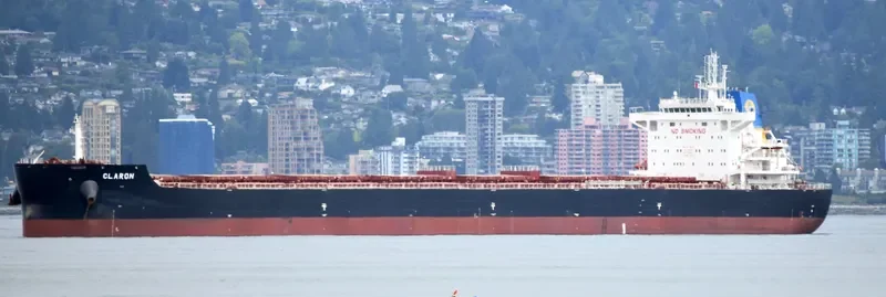CLARON Bulk Carrier IMO 9718038 photo 5