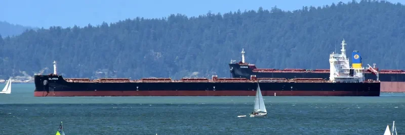 CLARON Bulk Carrier IMO 9718038 photo 8