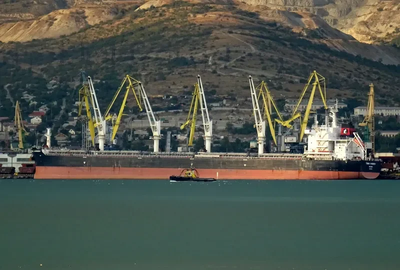 TOMINI HARMONY Bulk Carrier IMO 9718131