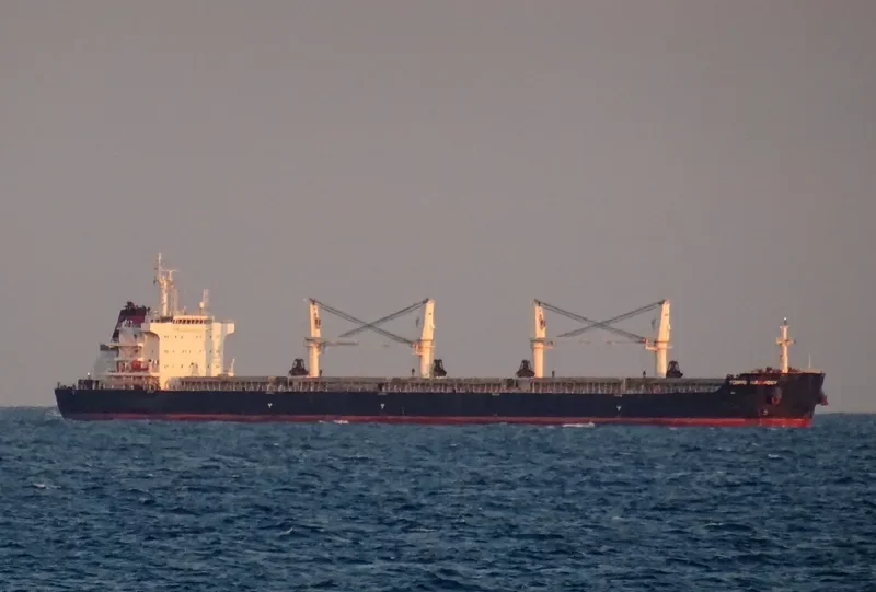 TOMINI HARMONY Bulk Carrier IMO 9718131 photo 3