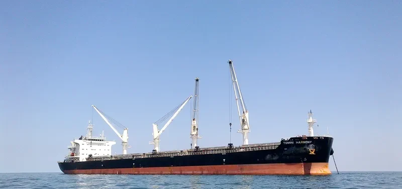 TOMINI HARMONY Bulk Carrier IMO 9718131 photo 5