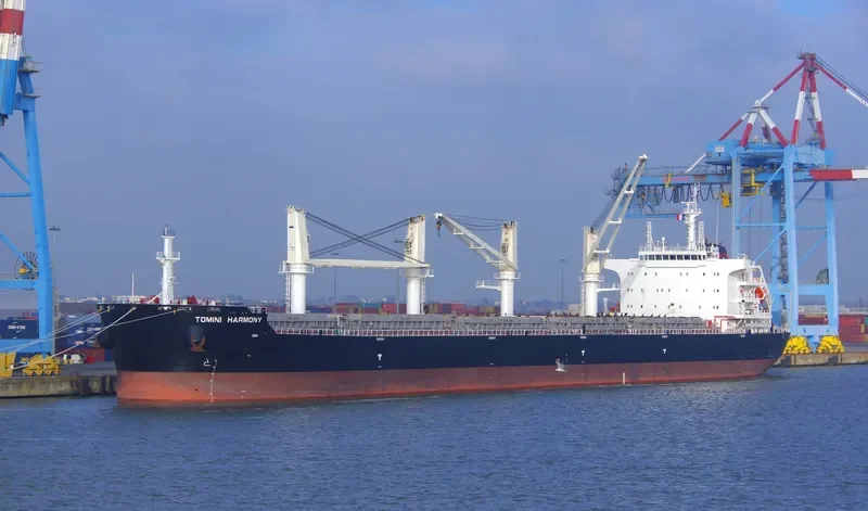TOMINI HARMONY Bulk Carrier IMO 9718131 photo 6