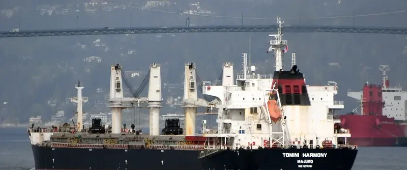 TOMINI HARMONY Bulk Carrier IMO 9718131 photo 7