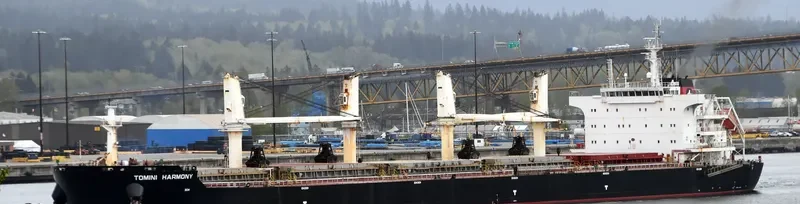 TOMINI HARMONY Bulk Carrier IMO 9718131 photo 8