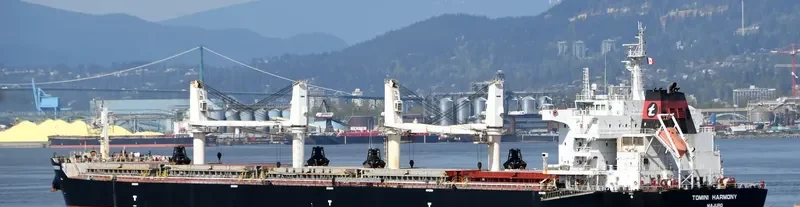 TOMINI HARMONY Bulk Carrier IMO 9718131 photo 9