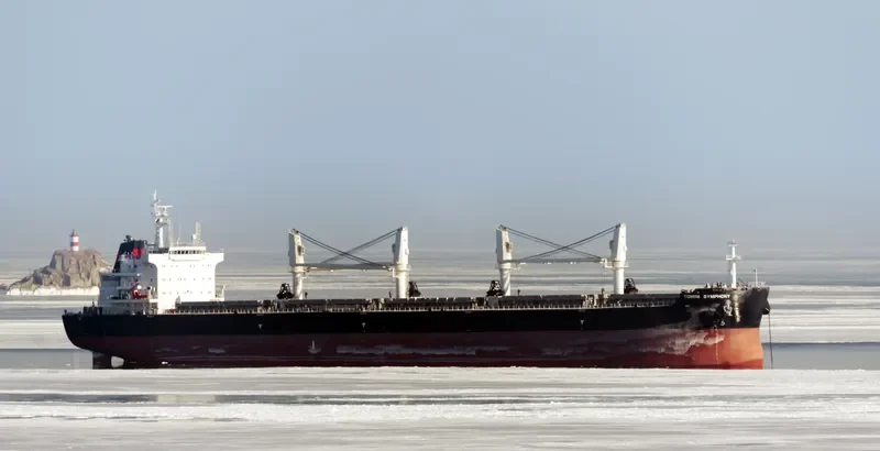 TOMINI SYMPHONY Bulk Carrier IMO 9718143 photo 4