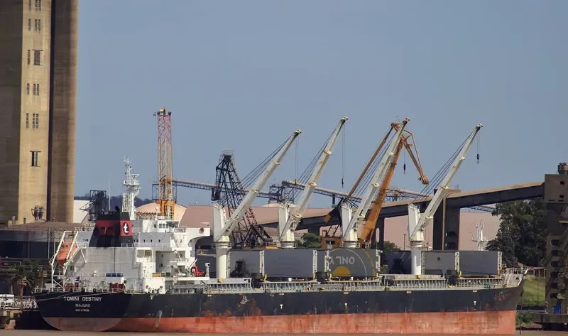 TOMINI DESTINY Bulk Carrier IMO 9718155 photo 2