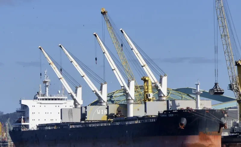 TOMINI DESTINY Bulk Carrier IMO 9718155 photo 3