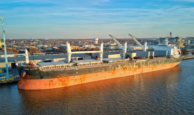 TOMINI DESTINY Bulk Carrier IMO 9718155 photo 6