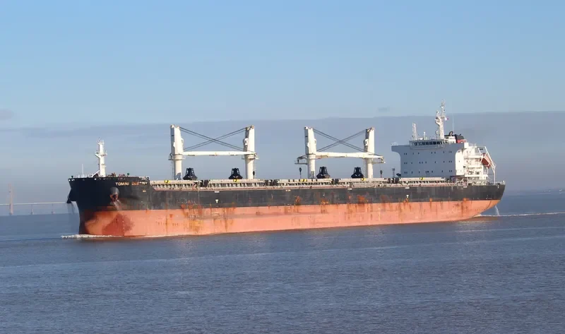 TOMINI DESTINY Bulk Carrier IMO 9718155 photo 9