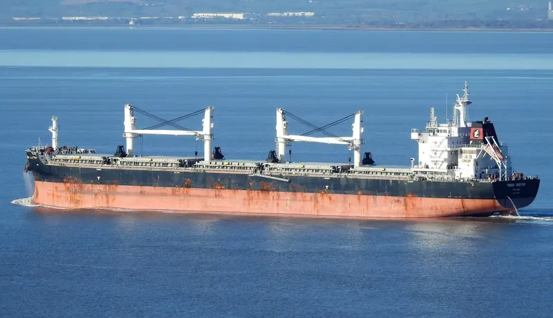 TOMINI DESTINY Bulk Carrier IMO 9718155 photo 10