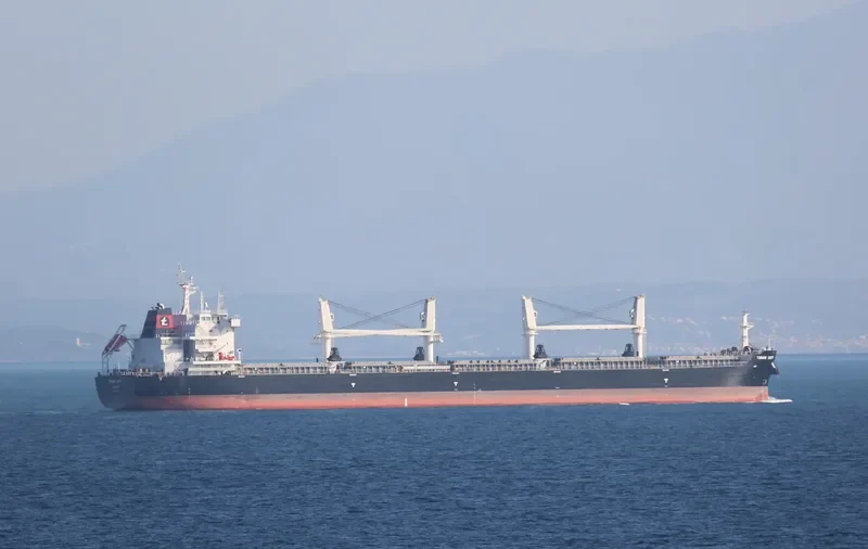 TOMINI UNITY Bulk Carrier IMO 9718167
