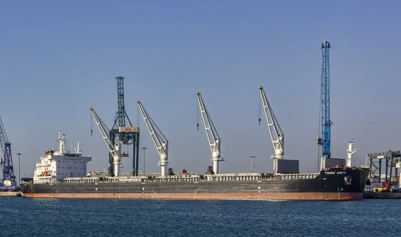 TOMINI UNITY Bulk Carrier IMO 9718167 photo 4
