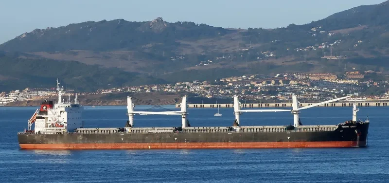TOMINI UNITY Bulk Carrier IMO 9718167 photo 6