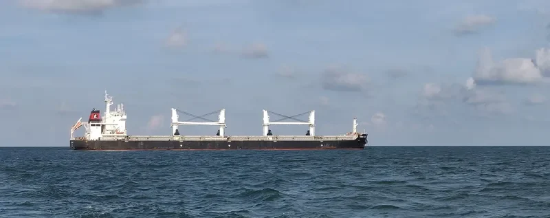 TOMINI UNITY Bulk Carrier IMO 9718167 photo 7