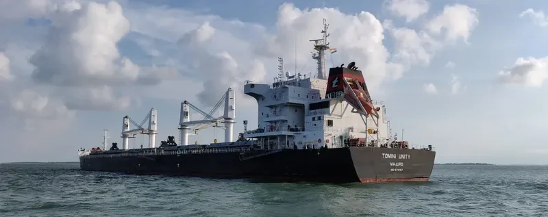 TOMINI UNITY Bulk Carrier IMO 9718167 photo 8