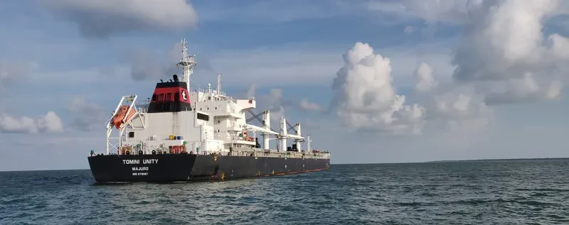 TOMINI UNITY Bulk Carrier IMO 9718167 photo 10