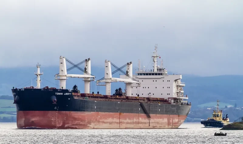 TOMINI LIBERTY Bulk Carrier IMO 9718179 photo 3