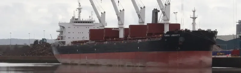 TOMINI LIBERTY Bulk Carrier IMO 9718179 photo 5