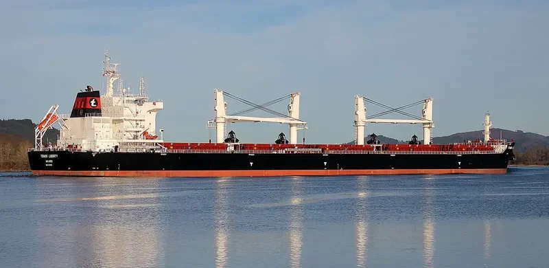 TOMINI LIBERTY Bulk Carrier IMO 9718179 photo 7