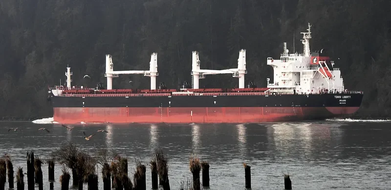 TOMINI LIBERTY Bulk Carrier IMO 9718179 photo 8