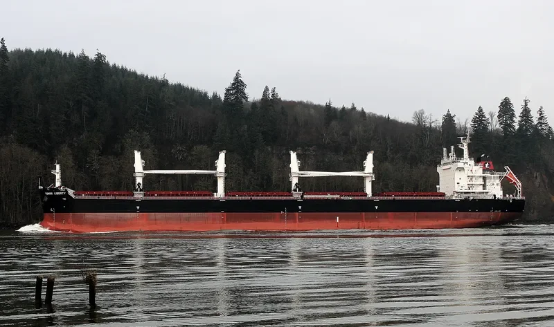 TOMINI LIBERTY Bulk Carrier IMO 9718179 photo 9