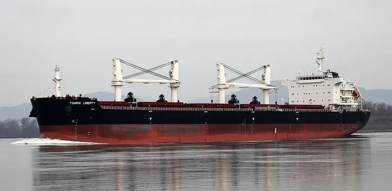 TOMINI LIBERTY Bulk Carrier IMO 9718179 photo 10