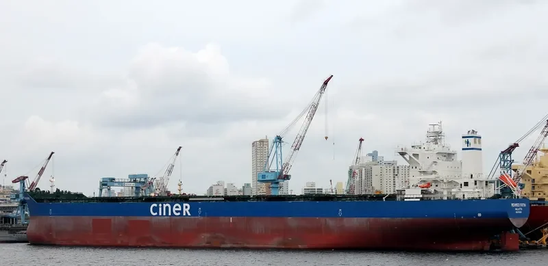 MEHMED FATIH Bulk Carrier IMO 9718193 photo 2
