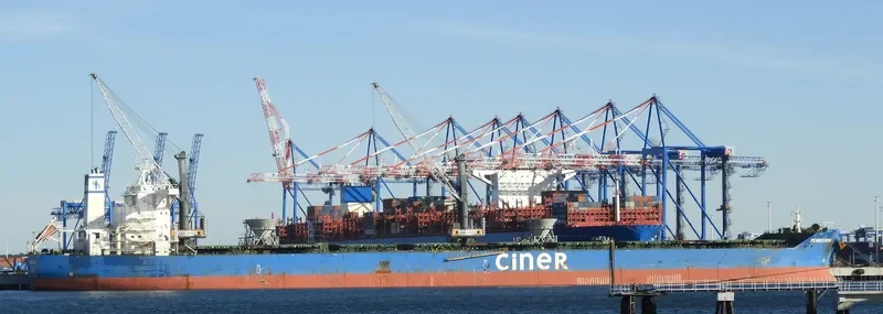 MEHMED FATIH Bulk Carrier IMO 9718193 photo 10