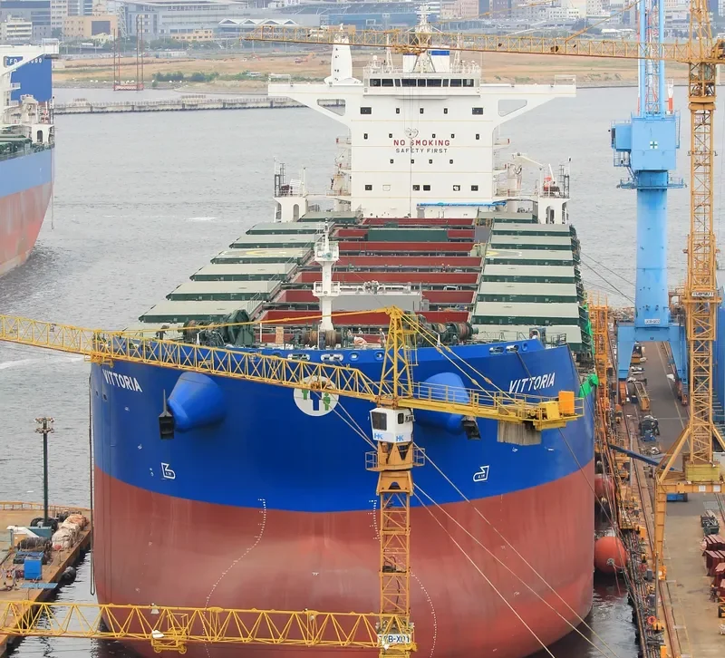 VITTORIA Bulk Carrier IMO 9718208 photo 4