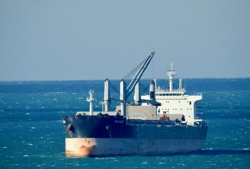 BAO LUCKY Bulk Carrier IMO 9718337 photo 3