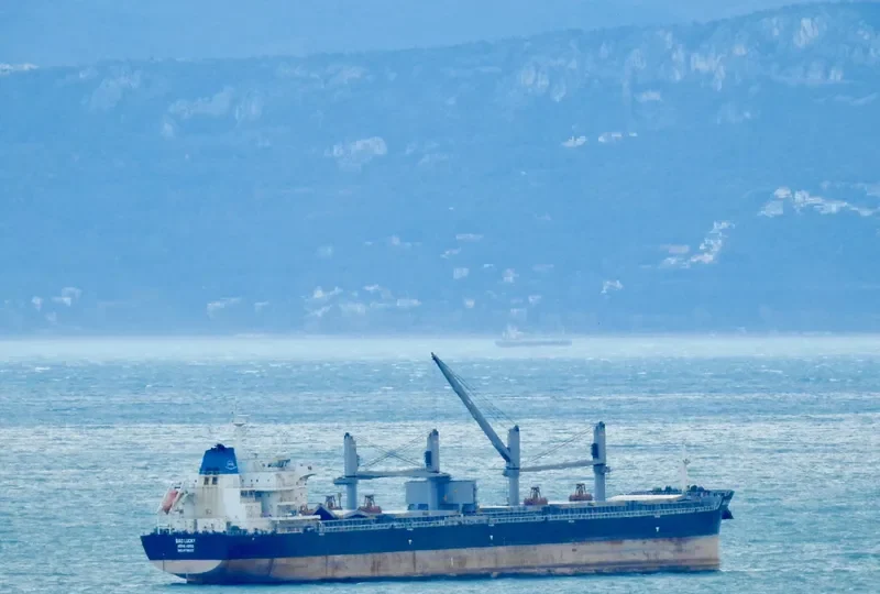BAO LUCKY Bulk Carrier IMO 9718337 photo 4