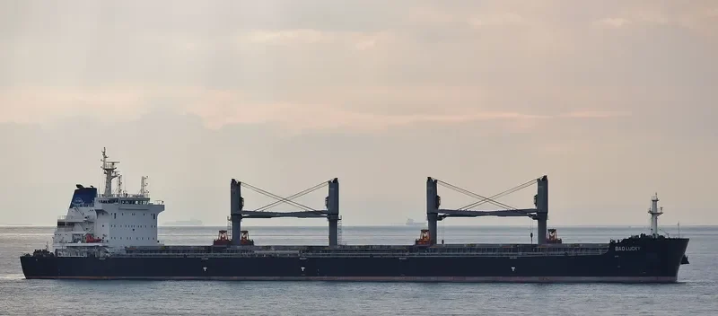 BAO LUCKY Bulk Carrier IMO 9718337 photo 10