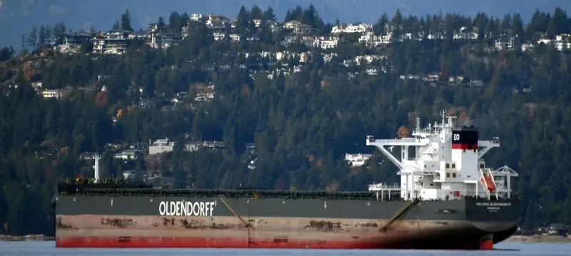 HELENA OLDENDORFF Bulk Carrier IMO 9718351 photo 9