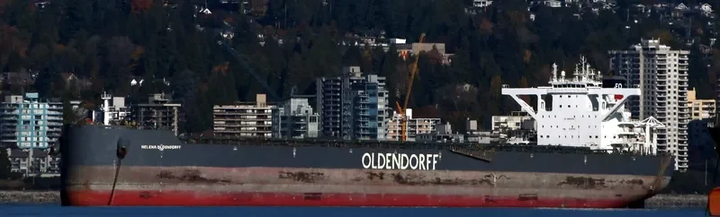 HELENA OLDENDORFF Bulk Carrier IMO 9718351 photo 10