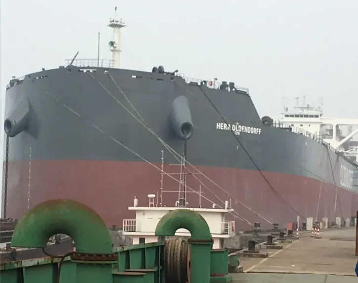 HERA OLDENDORFF Bulk Carrier IMO 9718363