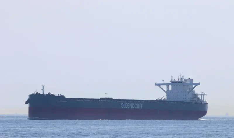 HERA OLDENDORFF Bulk Carrier IMO 9718363 photo 3