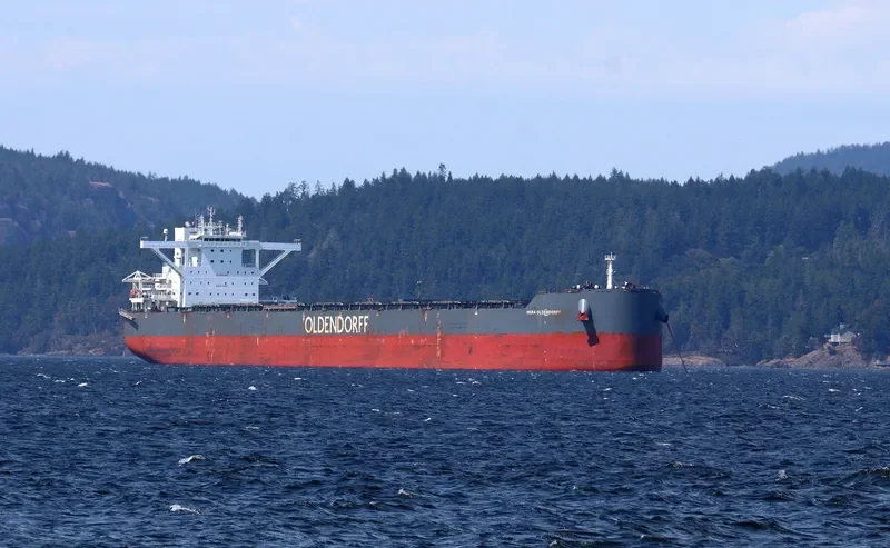 HERA OLDENDORFF Bulk Carrier IMO 9718363 photo 4