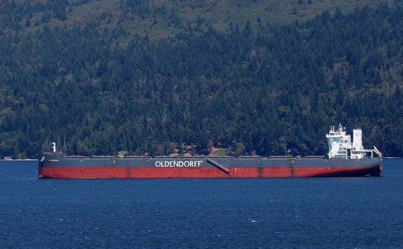 HERA OLDENDORFF Bulk Carrier IMO 9718363 photo 5