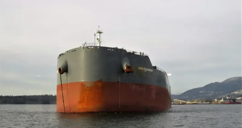 HERA OLDENDORFF Bulk Carrier IMO 9718363 photo 10