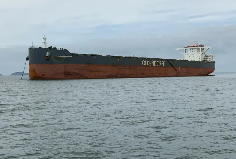 HANS OLDENDORFF Bulk Carrier IMO 9718387