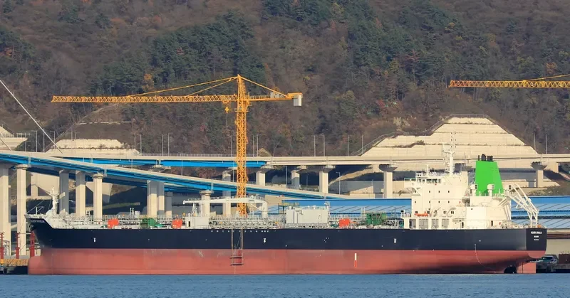 SILVER ERVILIA General Cargo IMO 9718404 photo 3