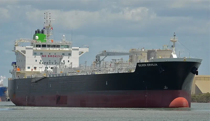 SILVER ERVILIA General Cargo IMO 9718404 photo 9