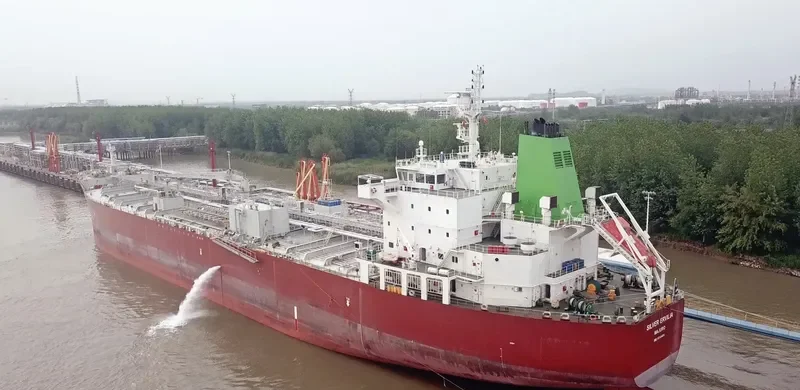 SILVER ERVILIA General Cargo IMO 9718404 photo 10