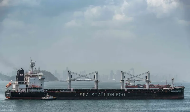 CAROLINA BOLTEN Bulk Carrier IMO 9718454 photo 2