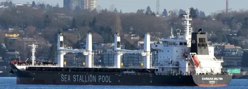 CAROLINA BOLTEN Bulk Carrier IMO 9718454 photo 3