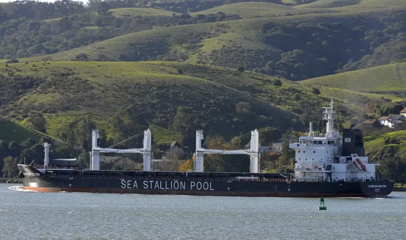 CAROLINA BOLTEN Bulk Carrier IMO 9718454 photo 4
