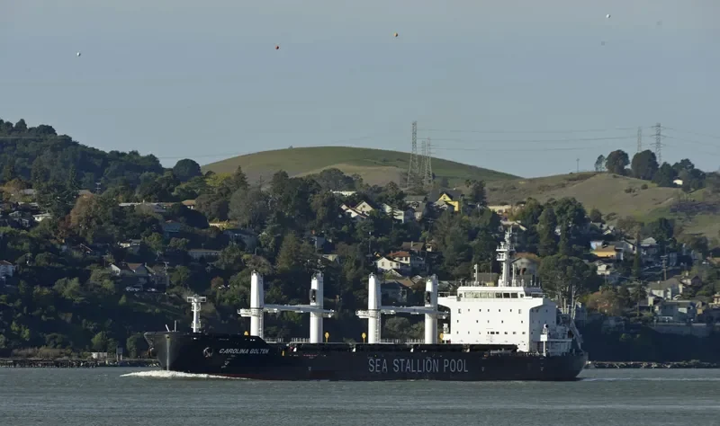 CAROLINA BOLTEN Bulk Carrier IMO 9718454 photo 5