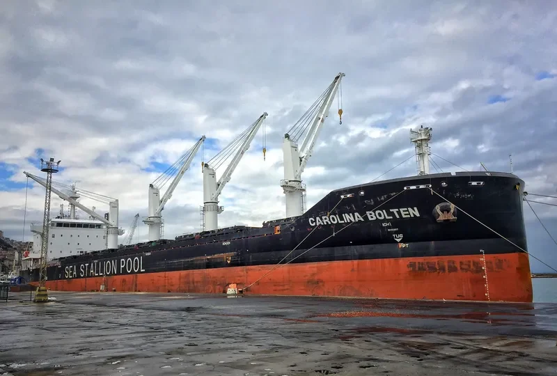 CAROLINA BOLTEN Bulk Carrier IMO 9718454 photo 6