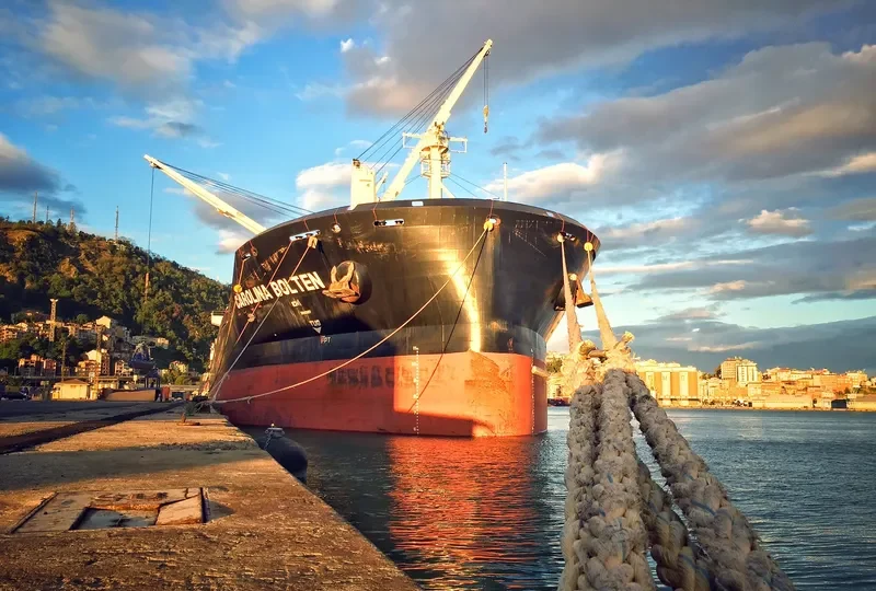 CAROLINA BOLTEN Bulk Carrier IMO 9718454 photo 7